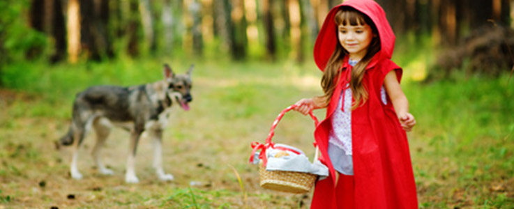 little red riding hood and baby wolf