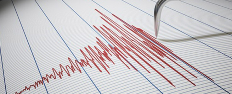 polygraph results