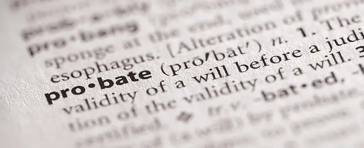 probate definition text