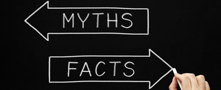 myths versus facts chalkboard text graphic