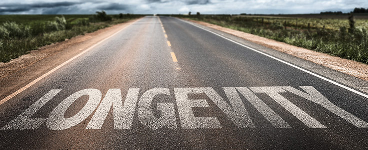 road displaying word longevity