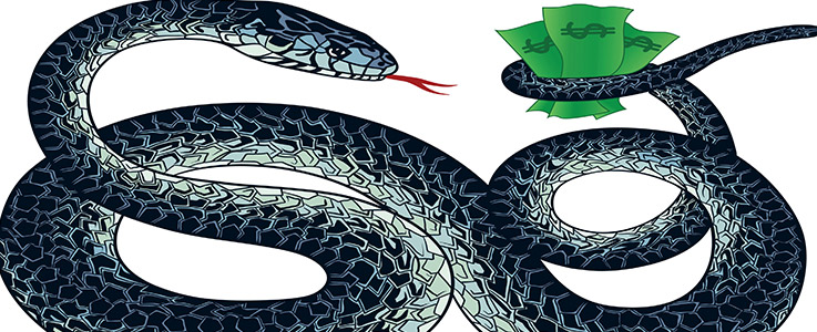 snake coiled around money illustration
