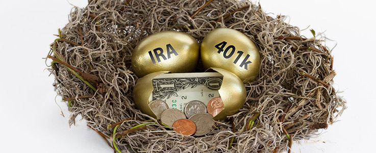 golden nest eggs ira 401k and cash hatching