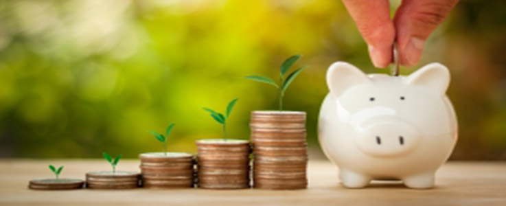 coin stacks growing for piggy bank savings