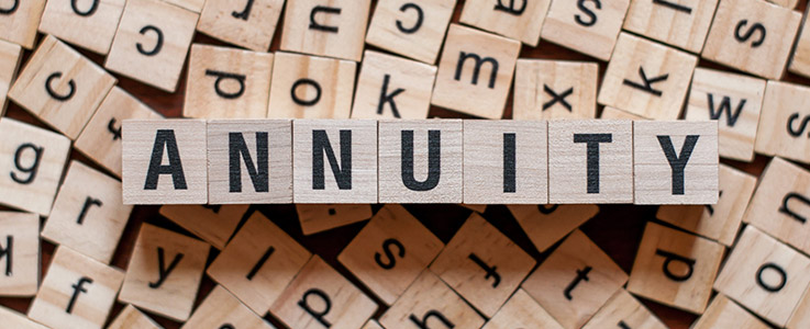 block letters spelling word annuity