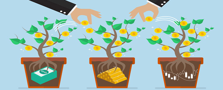 allocation of finances money trees illustration